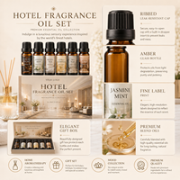 Ensemble d'huiles parfumées pour hôtels à base d'extraits végétaux OEM pour diffuseurs, humidificateurs, fabrication de bougies, boules de bain et autres applications d'aromathérapie