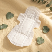 Toallas Sanitarias Desechables de Algodón Orgánico con Alas, Personalizadas OEM/ODM, con Protección Contra Fugas, Súper Absorbentes, para Uso Nocturno, Hechas en Fujian