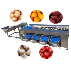 Professional Vegetables Potato Tomato Multi Size Sorting Conveyor Machine For Onion Orange Balls Fruta Vegetable Fruit Machinery