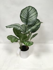 ใบ <span class=keywords><strong>Calathea</strong></span> ประดิษฐ์,สีเขียวผ้าไหมพร้อมขอบสีขาวสำหรับตกแต่งโต๊ะในร่ม - Product Image 2