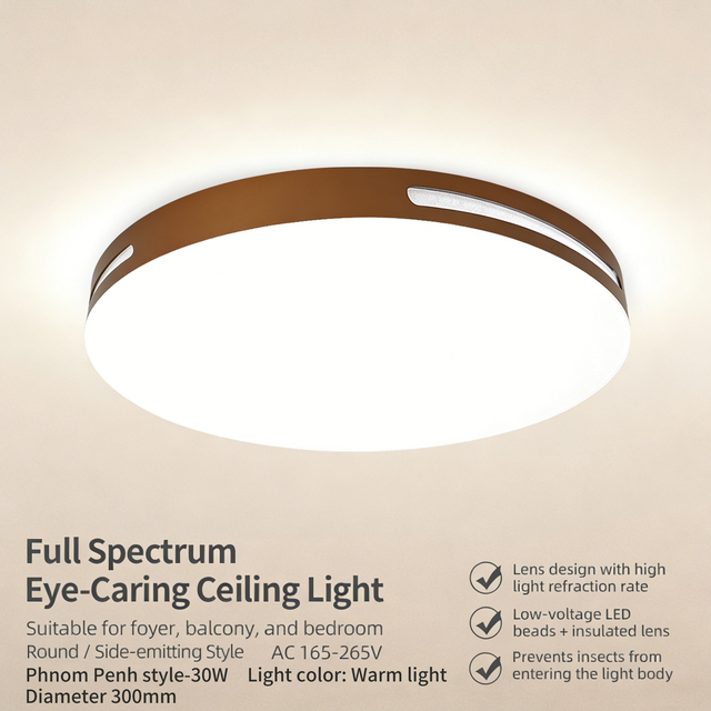 High Quality Fashion Style Decorative Home Lighting Home Office Modern Design Round Led Metal Pendant Ceiling Lamp