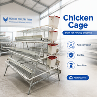 Cage à poules pondeuses automatique galvanisée à chaud pour 1000 poulets, cage de batterie pour ferme avicole, capacité 300 poulets pondeuses