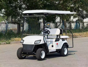 Carrito de Golf Eléctrico de Alta Velocidad para Uso en Resorts, Mini Carro de Golf de 4 Ruedas y 2 Plazas, 48V, para Hotel - Product Image 1