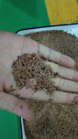 Trieuse automatique de graines de lin par couleur, séparateur de quinoa et de blé