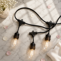 Ampoule LED à filament Edison S14, lumière chaude 2700K, culot E27, étanche, incassable, économie d'énergie, décoration de Noël en extérieur