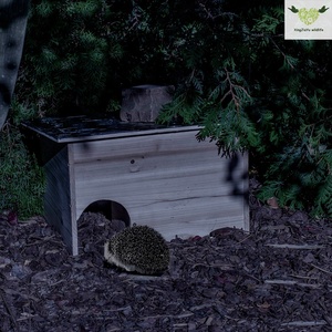 Maison de hérisson résistante aux intempéries 'Hut' Kit de construction Hôtel hérisson de jardin avec toit résistant aux intempéries Maisons et meubles pour animaux de compagnie - Product Image 4