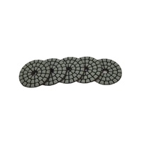 Mini disques de polissage diamantés flexibles en résine de 50 mm (2 pouces) pour micro-meuleuse d'angle - Personnalisable OEM
