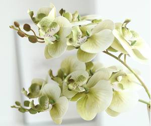 Orchidées artificielles en latex de haute qualité, faites à la main, toucher réel, pot en céramique, décoration d'intérieur pour la rentrée scolaire, la fête des mères, la remise des diplômes - Longue durée - Product Image 6