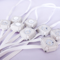 Lumières de Gouttière LED RVB Étanches IP67 Lumières Ponctuelles Télécommande Intelligente Décorations de Fête de Noël Extérieures
