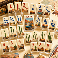 Versand in 15 Tagen Luxuriöses Modernes Rosa Perlmutt Amerikanisches Mahjong-Set 160/166 Steine Anpassbares Familien-Party-Geschenk