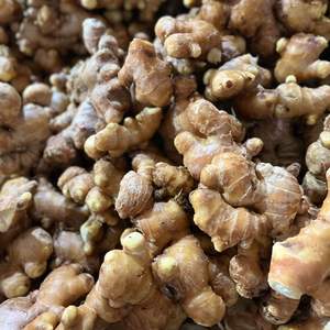 Jengibre vietnamita Premium con procesamiento limpio Ideal para productos saludables de bebidas y venta al por mayor - Product Image 5