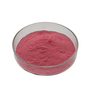 Ekstrak Daun Bit & Akar Bit Merah Kelas Makanan, Bubuk Bubur Bit Gula 100% Murni Beta Vulgaris Tersedia Kemasan Drum/Botol/Kaleng - Product Image 3