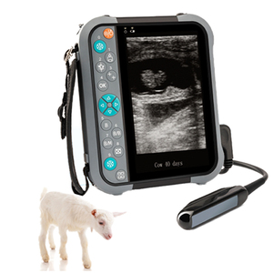 Dierenarts Diagnostisch Ultrasone Systeem Kleur Doppler Veterinaire Transducer Echografie Machine Scanner - Product Image 6