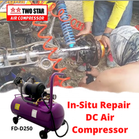 Compresseur d'air professionnel à double Piston 12V DC, Machine robuste et puissante sans huile, avec réservoir de 50 litres, résiste aux intempéries