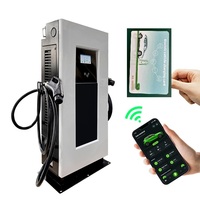 Chargeur de stockage solaire DC à DC Station de charge de voiture EV 30-60kw double support de sol Chargeur EV