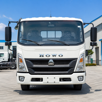 Camionnette de fret mini 4x2 Sinotruck Howo 10 tonnes à moteur diesel, nouvelle et très demandée
