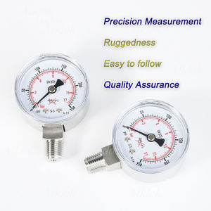 플랜지 다이어프램 게이지 0 - 1MAP - Product Image 4