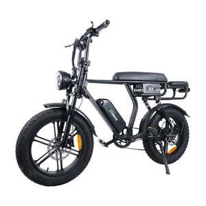 lta electric bicycle Ultra RT | ✓ 48V25AH Long Range Delivery Rain-Tech E-Bike LTA Approved eBikes For Food