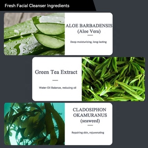 Marque privée personnalisée Produits de soins de la peau pour hommes Contrôle de l'huile Nettoyant pour le <span class=keywords><strong>visage</strong></span> hydratant et sensible Nettoyant pour le <span class=keywords><strong>visage</strong></span> pour hommes Meilleure peau - Product Image 4