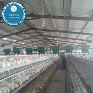 Yüksek kaliteli sıcak daldırma galvanizli kanatlı tavuk kafesi üreticisi/civciv/pullet/tavuk yumurtlama kafesi (Guangzhou fabrika) - Product Image 5