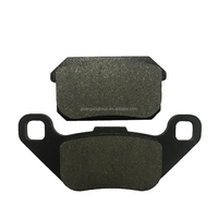 Plaquettes de frein arrière de moto pour PGO 250 Bug BR 250 E Bugrider ADLY 300 Pièces détachées de scooter de moto de rue de haute qualité