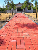 Très clair d'oxyde de fer rouge pour granulés EPDM et d'asphalte