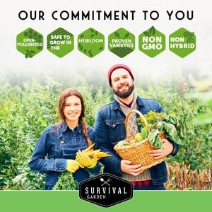 36 variétés de kits d'herbes en fibres végétales pour la culture d'herbes essentielles - Écologiques pour la maison et l'extérieur - Product Image 3