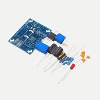 Module d'amplificateur audio mono canal 20W DIY, kit de carte d'amplificateur de haut-parleur portable avec accessoires PCB