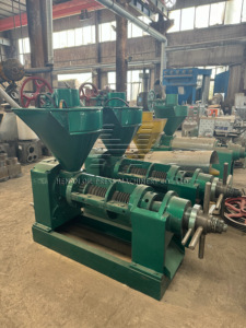 Presse à <span class=keywords><strong>huile</strong></span> à rangs ronds YZYX130-9 pour graines de coton et noyaux de palme, équipement <span class=keywords><strong>d</strong></span>'extraction physique à haute adaptabilité pour le traitement de l'<span class=keywords><strong>huile</strong></span> de coton - Product Image 4