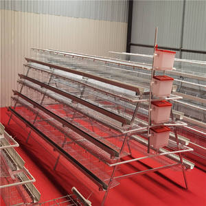 Jaula <span class=keywords><strong>de</strong></span> gallinas ponedoras <span class=keywords><strong>de</strong></span> 4 niveles tipo A para 168 gallinas, para granja avícola - Product Image 1