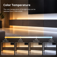 Contrôleur de bande LED Zemismart Tuya Zigbee CCT CW double blanc, variateur d'intensité 12V 24V, compatible avec Alexa, Google Home, Apple Home