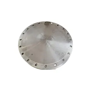 Wholesale Anti Rust And Durable Forged Thickness Stainless Steel Carbon Steel Blind Flange