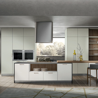Armoires de cuisine modulaires en acier inoxydable de couleur blanche personnalisées, conformes aux normes américaines, écologiques, ignifuges, design moderne