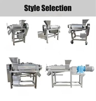 Hochkorrosionsbeständiger Spiralentsafter 80KG Kapazität 220V 2200W Hohe Produktivität Leicht zu Reinigen Motor Obst- und Getränkeverarbeitung