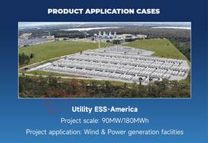 EVE S556H201  Estación de Energía Solar de 5MWh Lifepo4 en Contenedor, Sistema de Almacenamiento de Energía Solar en Contenedor - Product Image 4