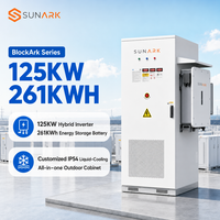Stock UE 261 kWh Batterie LiFePO4 Armoire de stockage BESS OEM ODM Onduleur hybride 125 kW pour intégration solaire photovoltaïque commerciale flexible