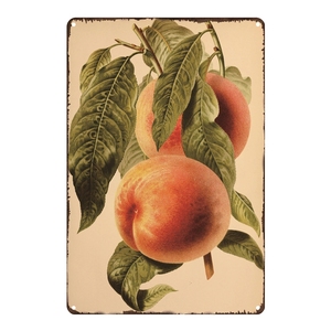 Plaque métallique Vintage à fleurs et de fruits, décoration intérieure, rétro, Shabby-Chic, faite en étain, pour cuisine, salon ou salle à manger - Product Image 2