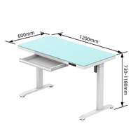 Bureau debout électrique réglable en hauteur avec tiroir, mobilier de bureau, table ergonomique relevable avec plateau en verre trempé