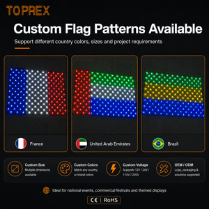 Guirlande lumineuse LED en forme de drapeau national pour la décoration d'événements intérieurs/extérieurs, 100 m, fil de cuivre noir avec LED blanc chaud, IP65/IP44 - Product Image 2