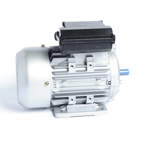 도매 가변 속도 낮은 <span class=keywords><strong>RPM</strong></span> Ac 전기 모터 단상 전기 모터 220 볼트 50hz 2900rpm 1hp - Product Image 6