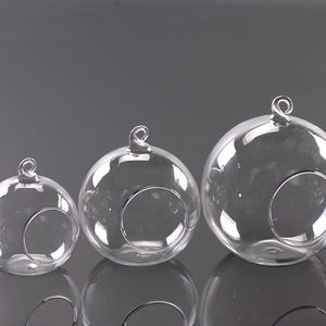 Mousse micro-paysage conteneur bouteille <span class=keywords><strong>en</strong></span> <span class=keywords><strong>verre</strong></span> <span class=keywords><strong>suspendu</strong></span> bouchon <span class=keywords><strong>en</strong></span> bois bouteille thé canecological bouteille <span class=keywords><strong>pot</strong></span> de stockage - Product Image 5