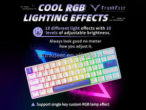 DRUNKDEER G60 cablato tastiera meccanica da gioco RAESHA interruttori 62 tasti RGB retroilluminati USB-C interfaccia programmabile tasti numerici - Product Image 5