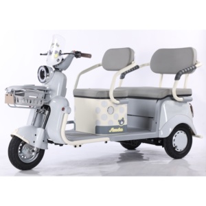 Meilleur prix Vélo électrique à <span class=keywords><strong>3</strong></span> <span class=keywords><strong>roues</strong></span> ouvert 60V 650W pour passagers adultes, avec affichage numérique LED - Product Image 5