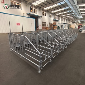 Produttore di Box per Suini in Acciaio Zincato, Vendita Diretta dalla Fabbrica, Attrezzature per Allevamento Suini, Dimensioni Personalizzate, Attrezzature Agricole all'Ingrosso - Product Image 2