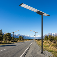 Lampadaire solaire monocristallin en silicium à haut rendement lumineux, étanche IP66