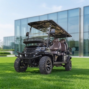 Lifted Off Road Golf Cart 6 Seater <b>All</b> <b>Terrain</b> Sand <b>Buggy</b> With Powerful Motor Hydraulic Disc Brakes - Product Image 2