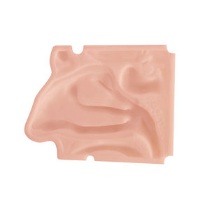Silicone Anatomical Model for Medical School Training <strong>Nasal</strong> Exam Manikin <strong>Skeleton</strong> Model in Medical Science - Product Image 6