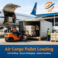 Transport aérien en Europe, service logistique DDP DDU porte-à-porte avec dédouanement et paiement des taxes