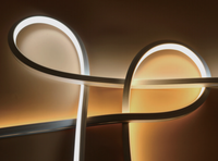 Bande lumineuse LED flexible étanche IP67 pour piscine, néon 24v 2835 120leds/m pour piscine