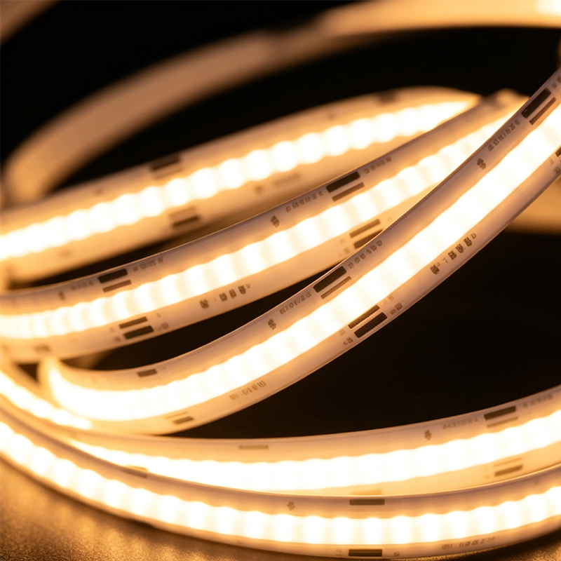 720leds Dynamic Dream Color LED Strip 24V 10MM PCB Width 19W/M Pixel Control Light for Architectural Creative Decoration Project